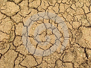 Dried brown ground covered with small cracks