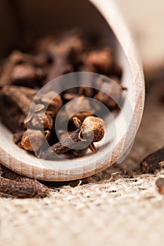 Brown dry clove aromatic spice scattered in wooden