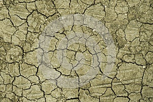 Brown dry cracked ground.