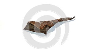 Brown dry leaves isolated on a white background. Fallen wilted tree leaves.