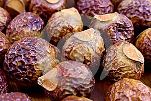 Brown dry soap nuts (Soapberries, Sapindus Mukorossi, Reetha) for organic laundry and gentle natural skin care close up.