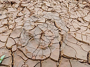 Brown dry soil or cracked ground texture background. Cracked earth, cracked soil