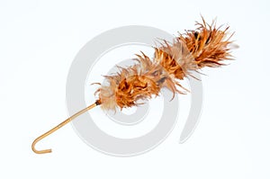 Brown duster feather .