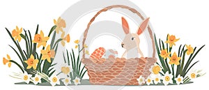 Brown Easter bunny sitting in the basket of colored eggs isolated on white background. Narcissus and green grass around. Flat