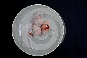 Brown Easter eggs and white feathers on a plate