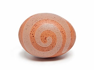 Brown egg