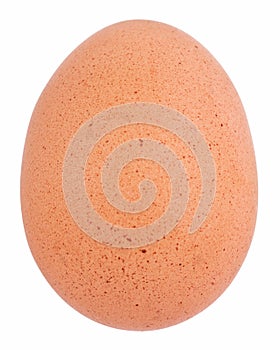 Brown egg