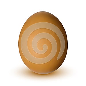 Brown Egg