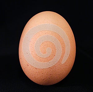 A brown egg