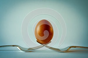 Brown Egg balanced on two forks