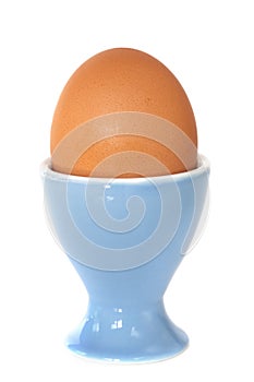 Brown Egg in Egg Cup