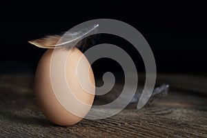 Brown Egg with Feather