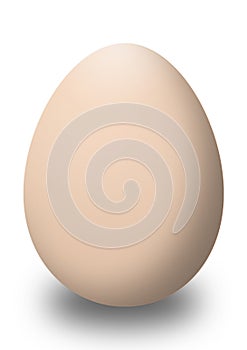 A brown egg isolated on white