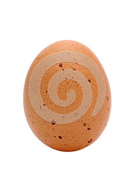 Brown egg