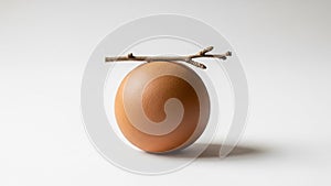 Emphasizing the texture and smoothness of the egg and the natural