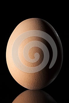 Brown Egg with Reflex, Isolated on Black