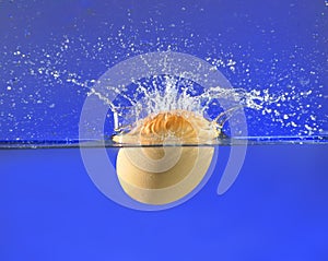 A brown egg splashing into water