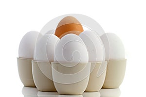 Brown egg surrounded by white ones