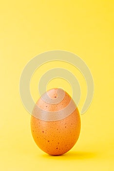 Brown egg upright on yellow background