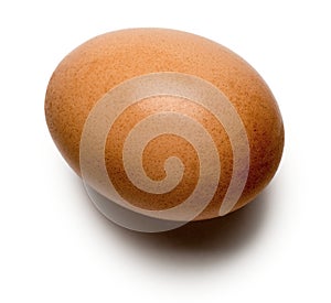 Brown Egg on White