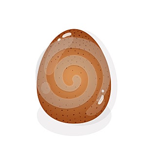 Brown egg on a white background.