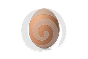 A brown egg on white background