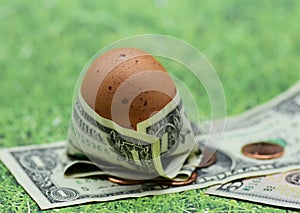 Brown egg wrapped in one dollar bill