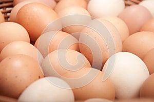 Brown eggs