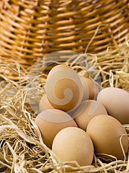 Brown eggs