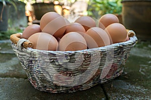 Brown eggs in Basket