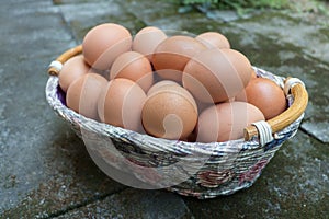 Brown eggs in Basket