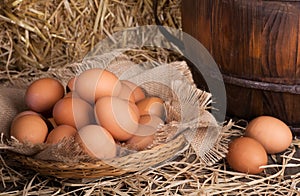 Brown Eggs in a Basket