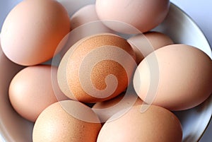 Brown Eggs in a Bowl