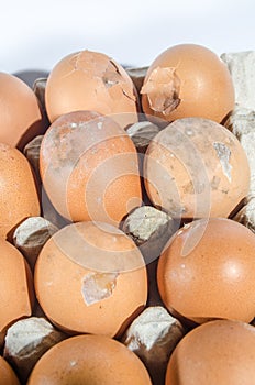 Brown Eggs broken