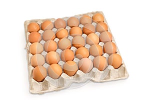 Brown eggs in the cardboard egg tray on white background