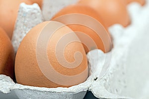 Brown eggs in the cardboard package macro