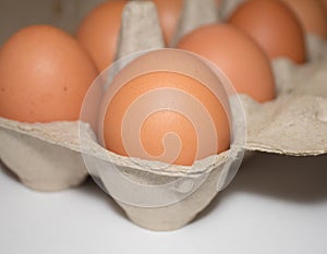 Brown eggs in cardboard packaging close up