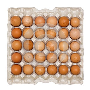 Brown Eggs in Cardboard Tray