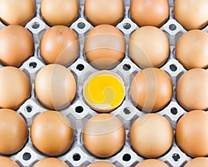 Brown eggs in detail on a tray