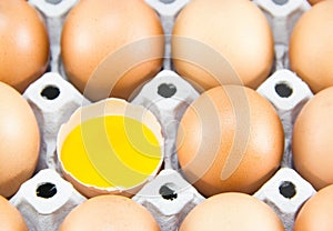 Brown eggs in detail on a tray