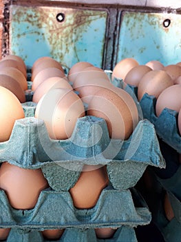 Brown eggs displayed in blue cartons, great food