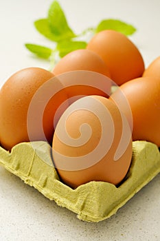 Brown eggs in an egg carton