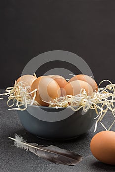 Brown eggs in gray ceramic bowl. Bird feather and one egg on table
