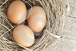 Brown eggs at hay nest in chicken farm