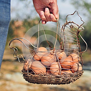 Brown eggs in a hen-shaped basket
