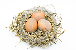 Brown eggs in a nest