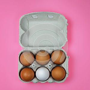 Brown eggs with one white egg in a paper tray