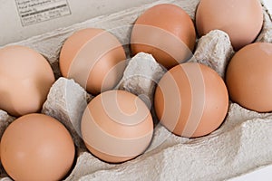 Brown Eggs in Paper Carton