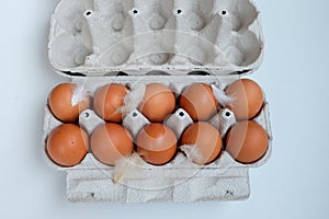 Brown Eggs in paper egg panel with chicken feather.