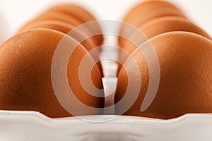 Brown eggs in plastic package on white background